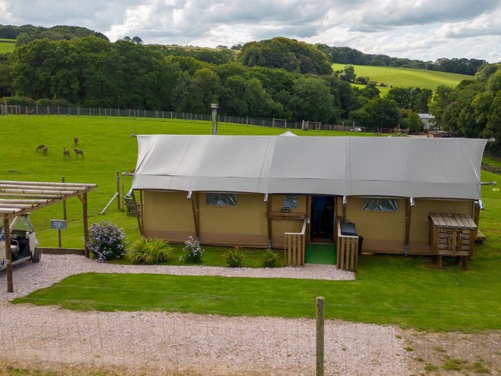 A tent cabin in a grassy area with deer nearby at 