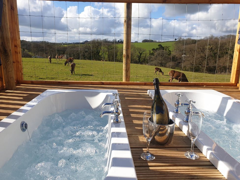 An outdoor hot tub with champagne on a deck overlooking horses and a field