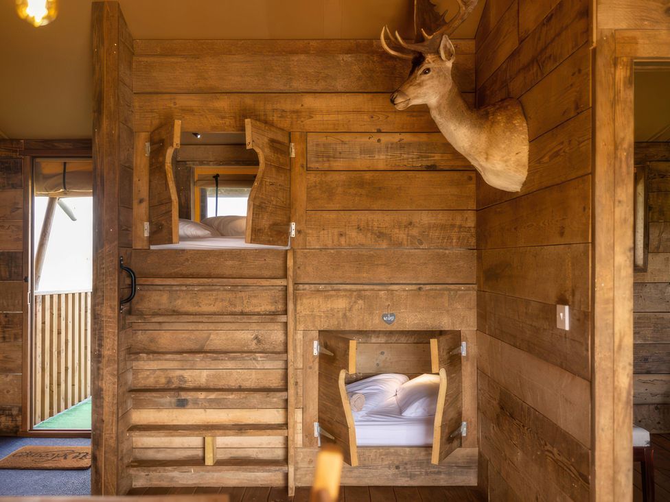 A bedroom with a bunk bed and a deer head mounted on the wall at the property