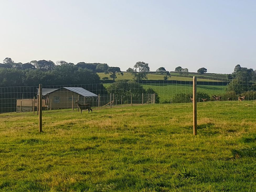 An outdoor scene with deer and a building on a pasture