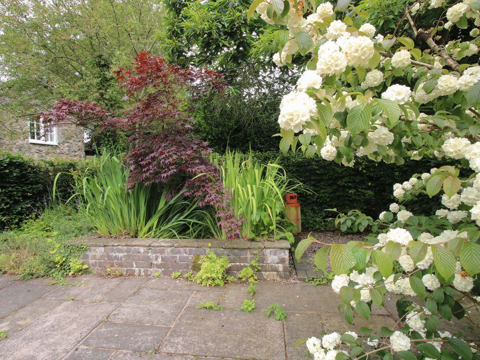 A garden with various plants and a brick wall at Apartment 3 in Lydbury North