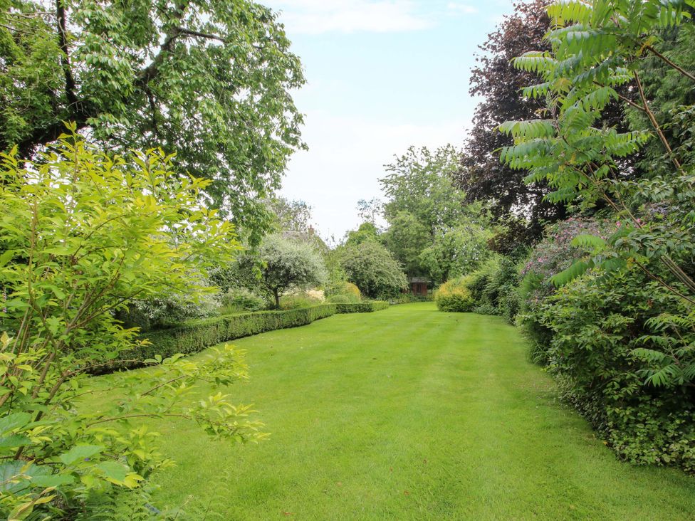 A garden with grass and trees at Apartment 3 in Lydbury North