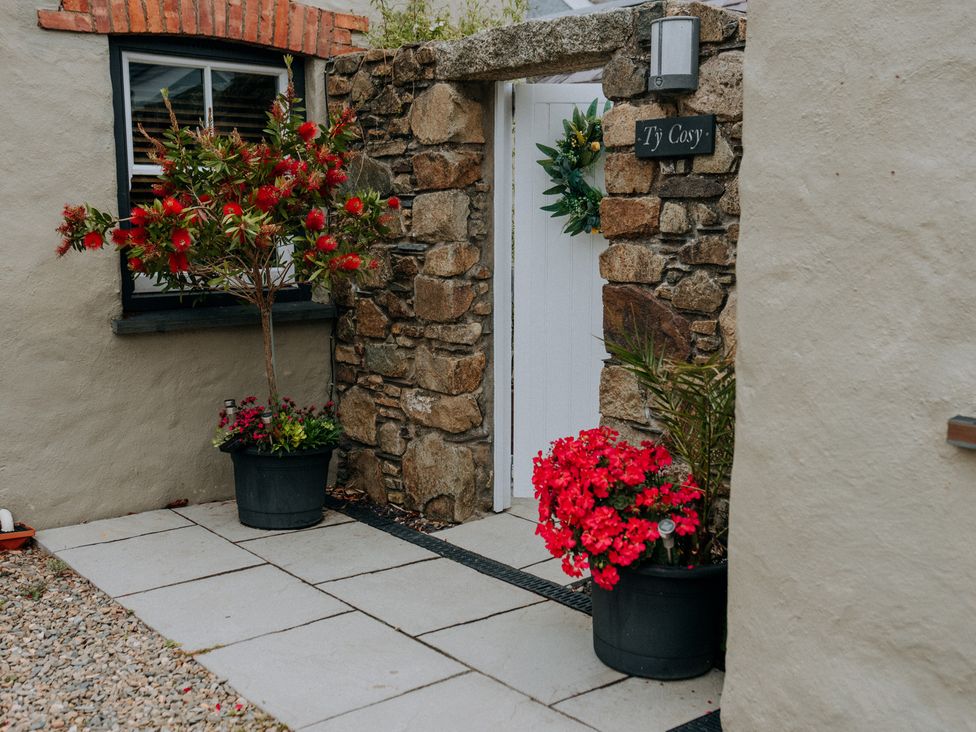 An outdoor entrance with flowers and a stone wall at Ty Cosy in St Davids
