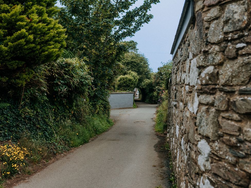A pathway between greenery and stone walls at TyCosy in St Davids