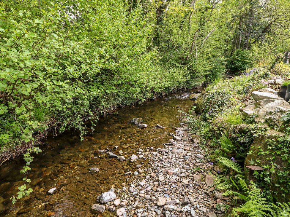 A creek surrounded by plants and rocks at Riverside Cottage in Caernarfon