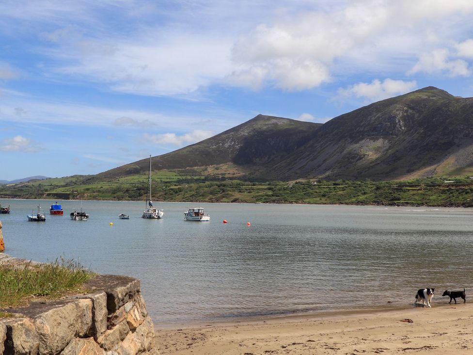 A beach with boats in the water and dogs on the sand at Riverside Cottage in Caernarfon