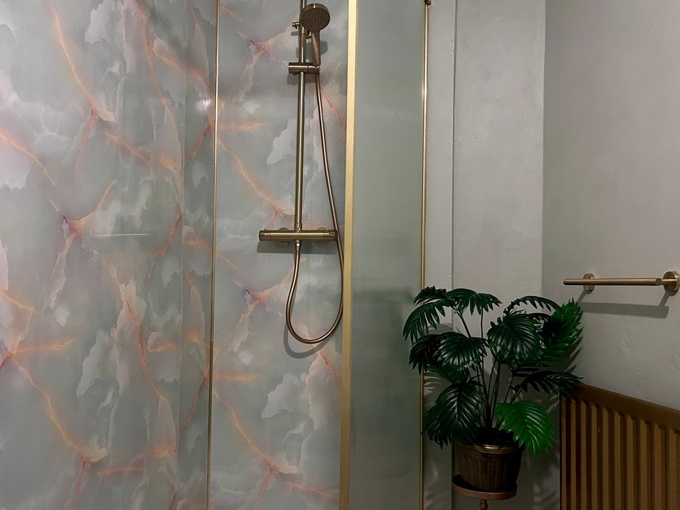 A bathroom with a shower and a plant at Downton II in Alnwick