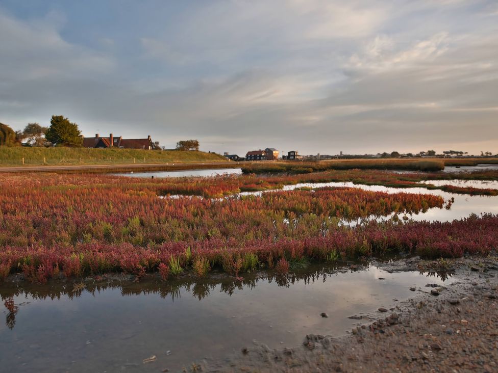 A view of marshland with houses in the background at No 1 The Martins Walberswick