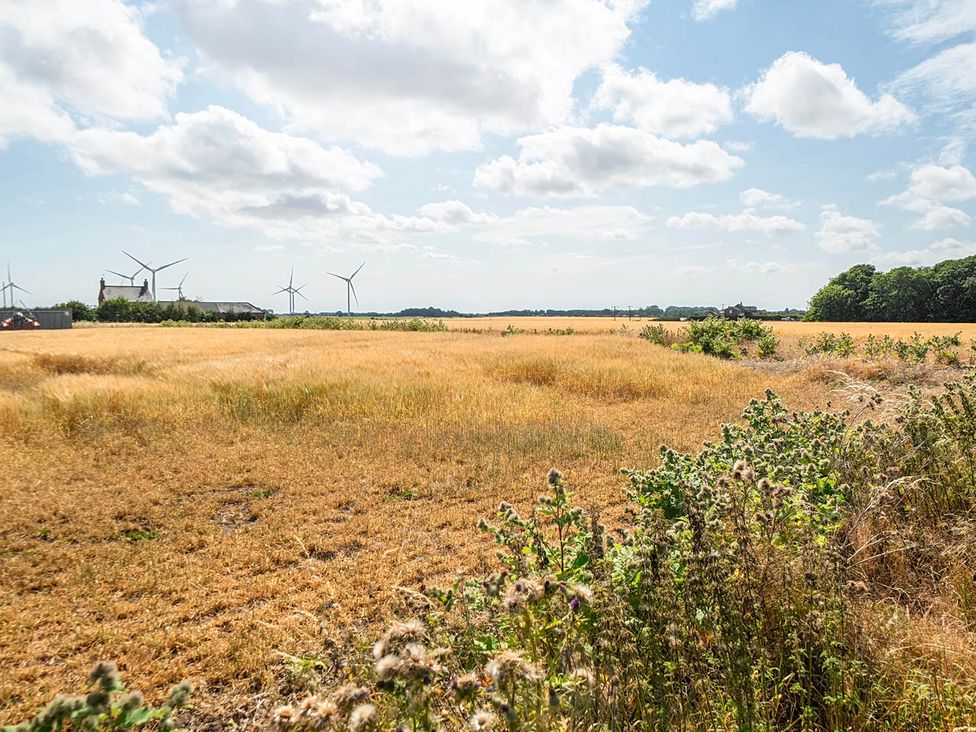 A field with wind turbines in the background at Bay View Chalet 2 Bed Sleeps 4 Pets Garden Beach, Wilsthorpe near Bridlington
