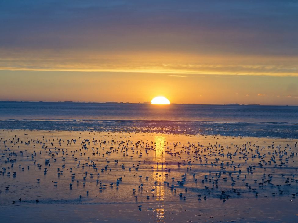 A sunset over water with birds on the shore at Super 2 bed 6 berth caravan pets go free Hunstanton