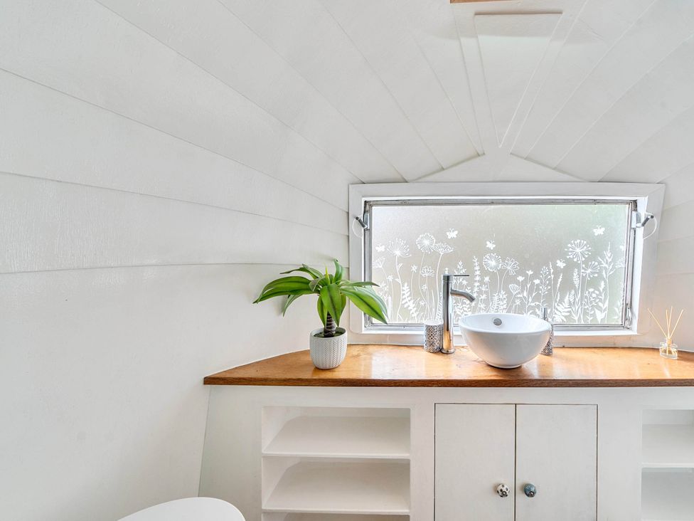 A bathroom with a sink and plant at Sleeps 2 - Private Hot Tub - Fire Pit in St. Dogmaels near Cardigan