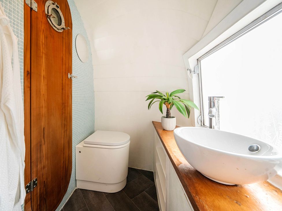 A bathroom with a toilet, sink, and a plant at Sleeps 2 - Private Hot Tub - Fire Pit, St. Dogmaels near Cardigan