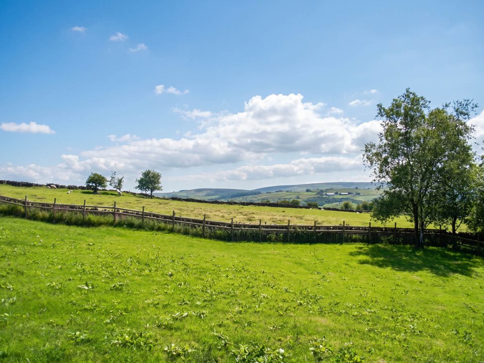 A grassy field with trees and hills at a rural location