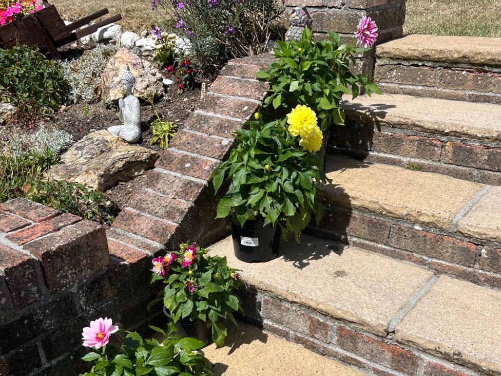 Steps with potted plants and a statue in the garden at Bungalow Sleeps 2 Parking Newquay