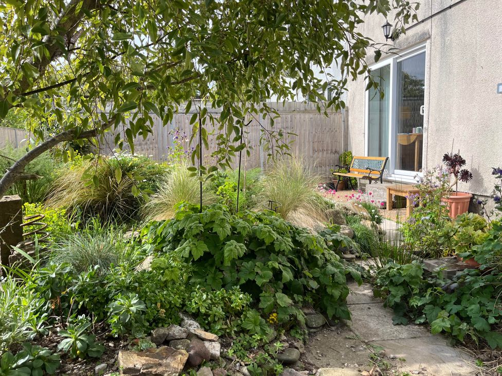 A garden with plants and a bench at 2 Bed Sleeps 4 Parking Pets 10 min walk to Beach, Falmouth