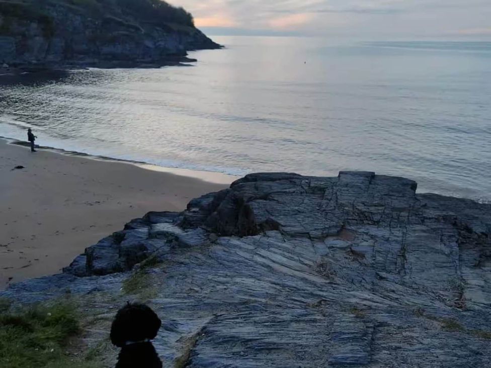 A beach scene with a person fishing and a dog sitting on rocks at Aberporth 2 Bed Cottage Sleeps 4 Pet Friendly Parcllyn near Aberporth