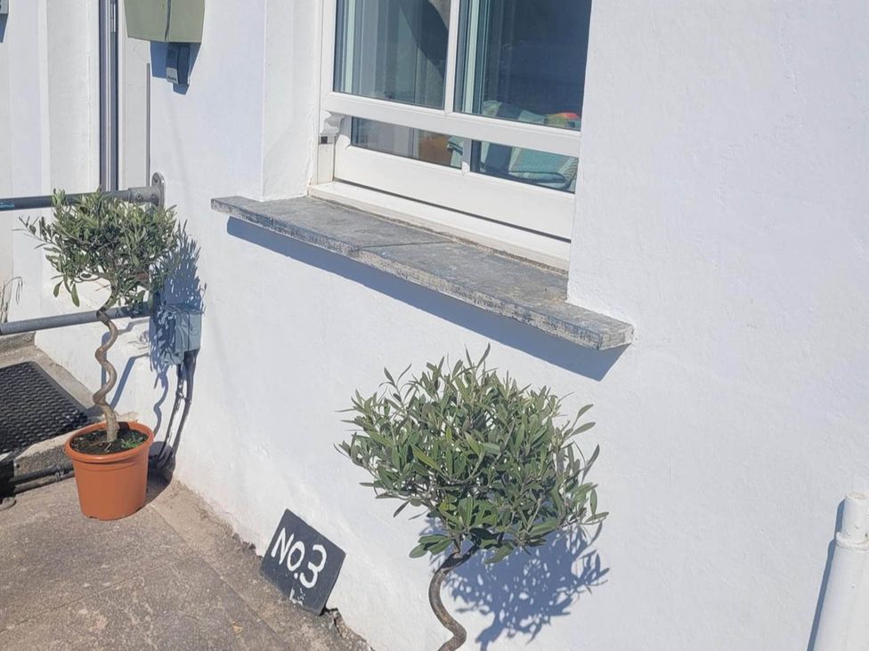 An outdoor scene with a window, flower pot, and olive tree at Looe Cottage Seaside views log fire sleeps 4 Looe