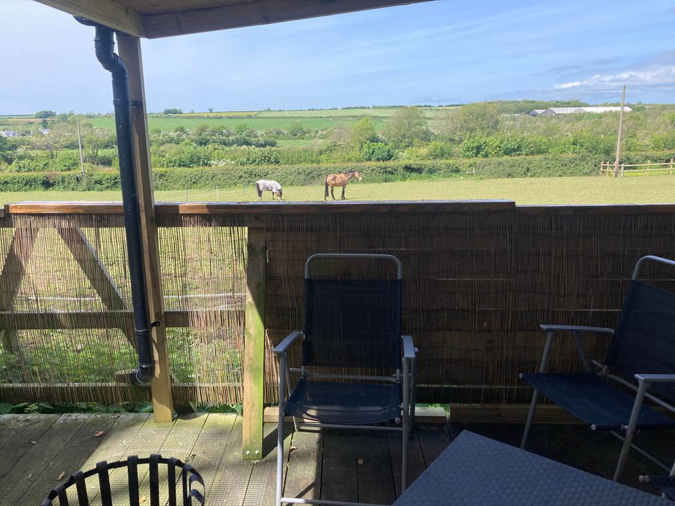 A view of horses in a field from a deck at The Owl House in countryside setting near Niwbwrch (newborough)