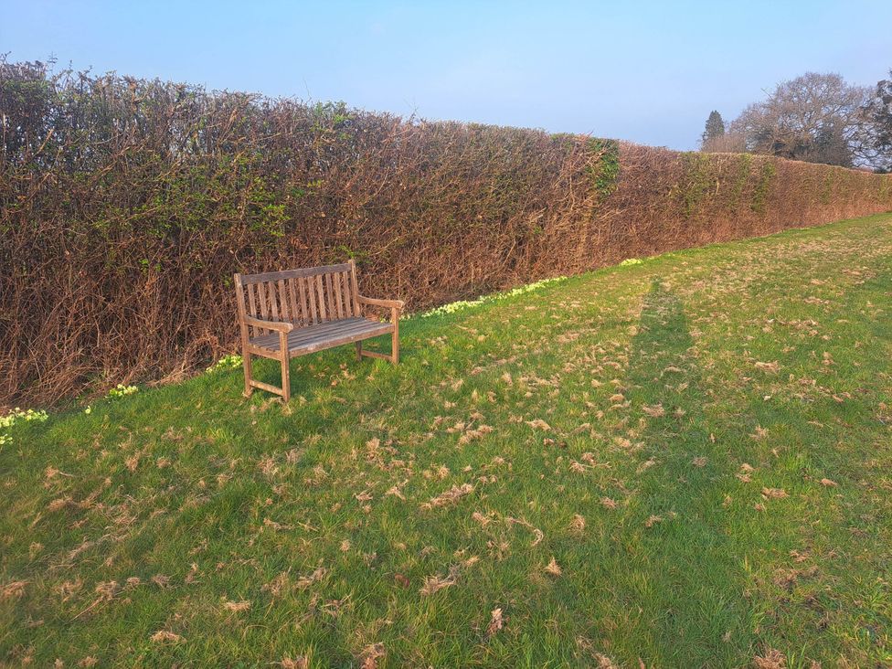 A bench near a hedge on grass outdoors Near Bishop's Waltham