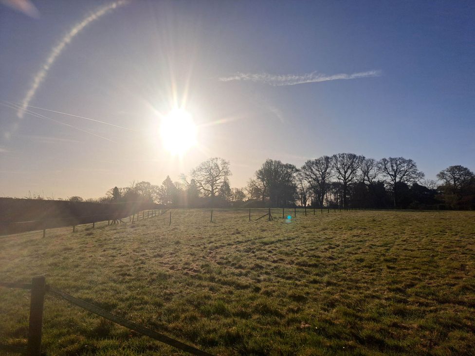 A field with sun and trees at a location near Bishop's Waltham