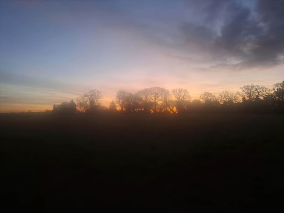 A view of a sunset with trees in silhouette near Bishop's Waltham