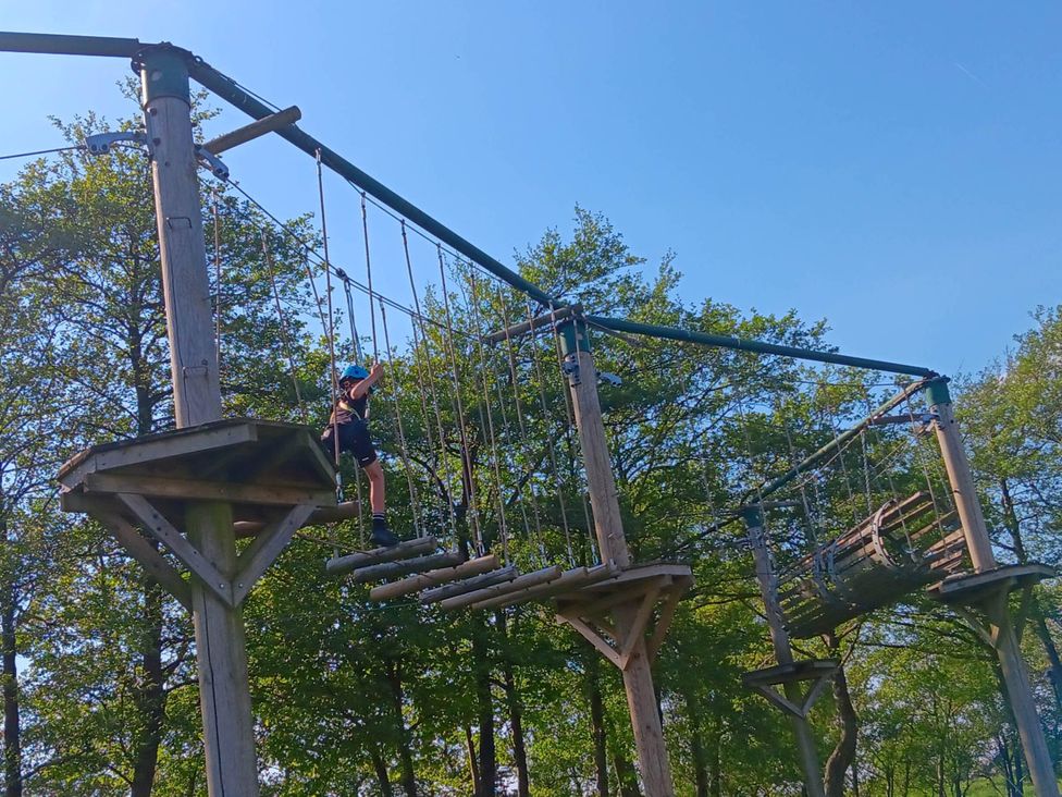 A child navigating a ropes course near trees