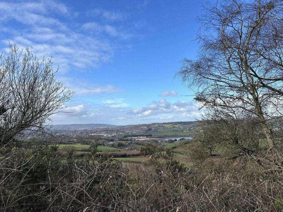 A landscape view with trees and hills at a location in Newton Abbot