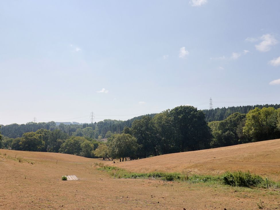 A field with trees and electricity poles in the background at The Linhay Cotleigh Nr. Honiton