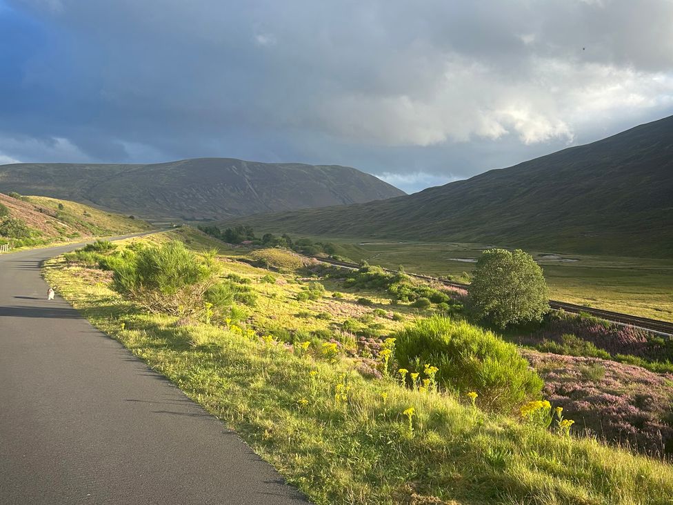A scenic road with mountains and wildflowers at 1 Station Cottages in 