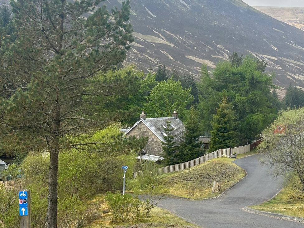 A house and trees by a road at 1 Station Cottages
