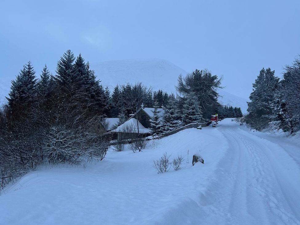 A snowy road with trees and a house at 1 Station Cottages in 