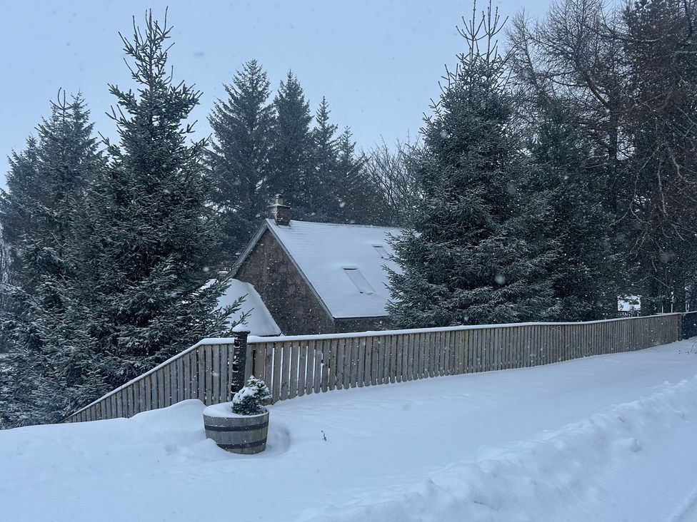 A snowy landscape with trees and a house at 1 Station Cottages