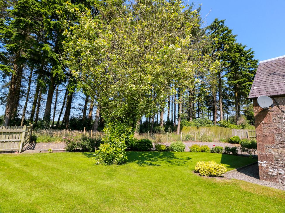 A garden with a tree and grass at Waterside Lodge Annan