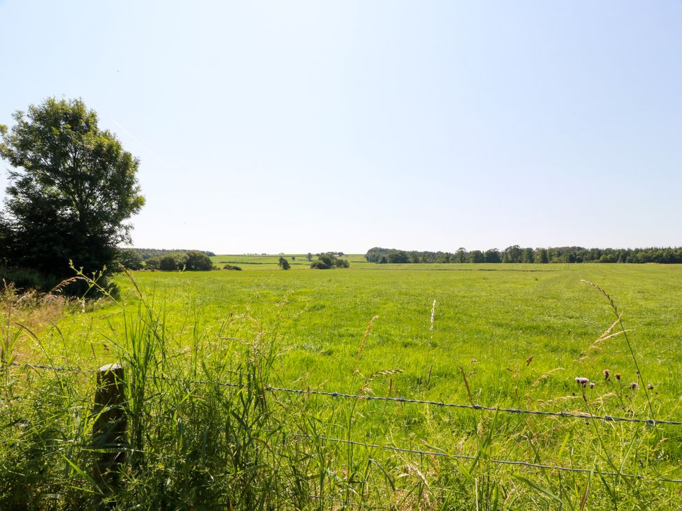 A field with grass and trees at Waterside Lodge Annan