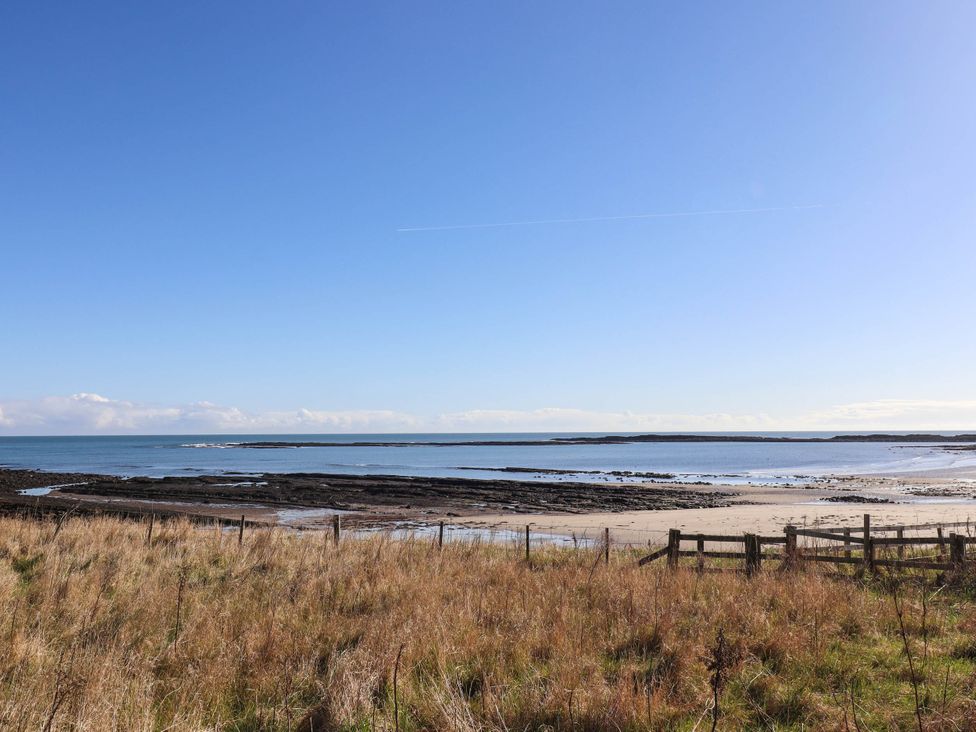 A shoreline with grass and a fence at Spinnaker
