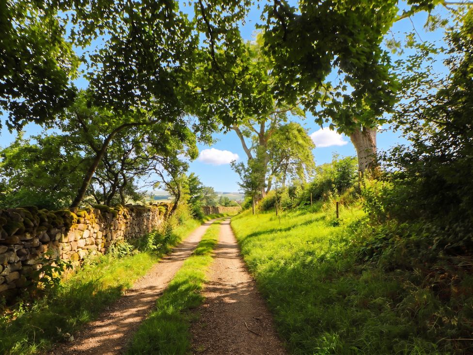 A dirt path surrounded by trees and stone wall at Claybottom Farm in Hesket Newmarket