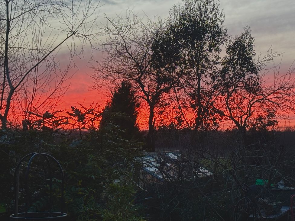 A garden with trees silhouetted against a sunset at Fables Cottage Otley, Suffolk