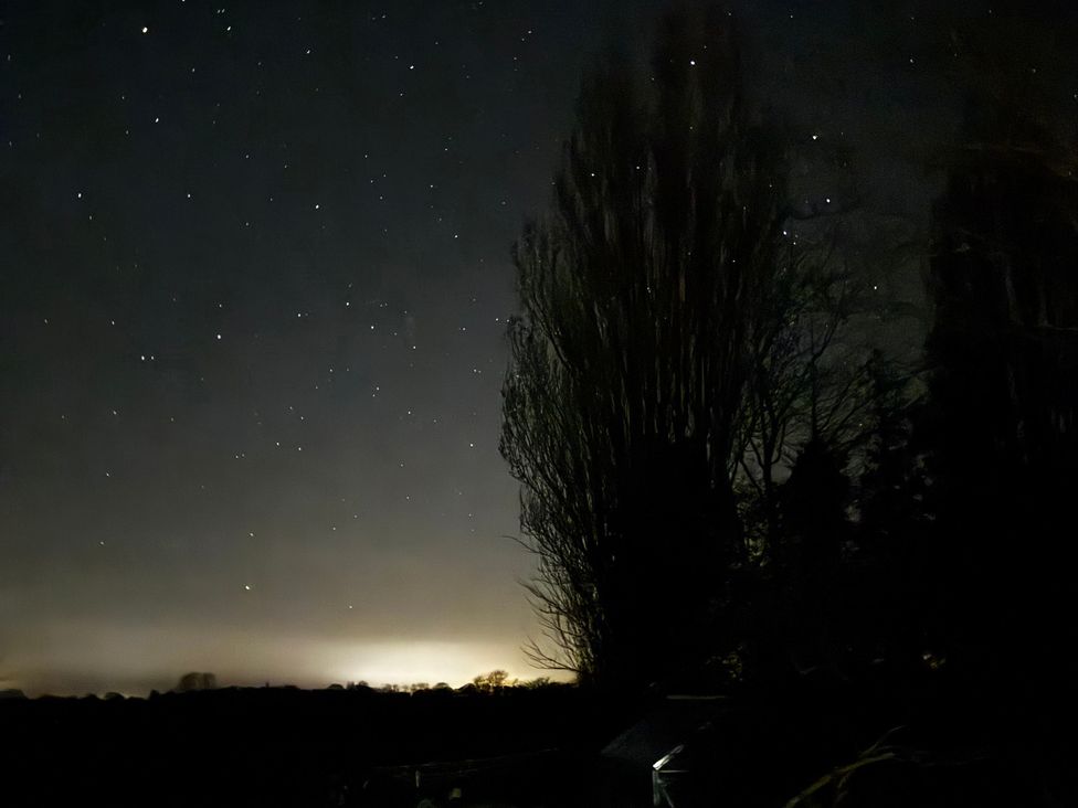 A night sky filled with stars and trees at Fables Cottage, Otley, Suffolk