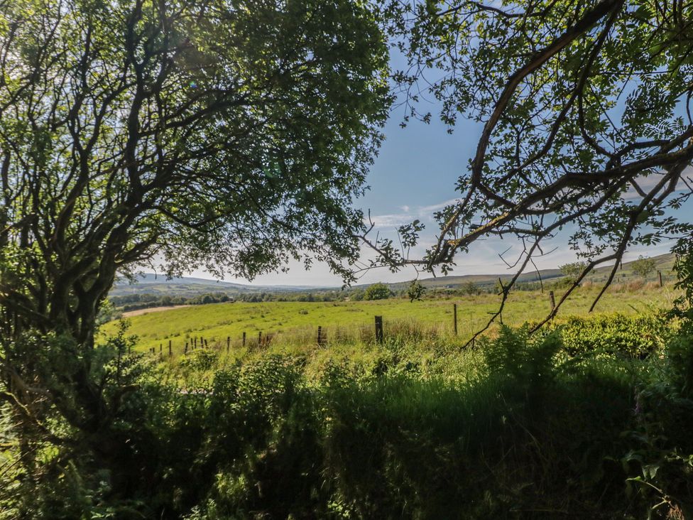 A view of a field and trees at Gortin Glen Glamping Pod 2 Omagh