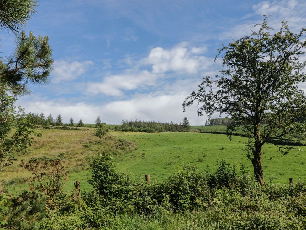 A landscape with grassy fields and trees at Gortin Glen Glamping Pod 2 Omagh
