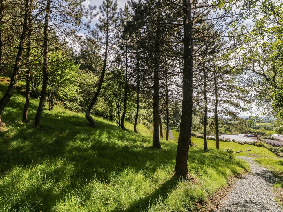 A path through trees and grass at Gortin Glen Glamping Pod 3 in Omagh
