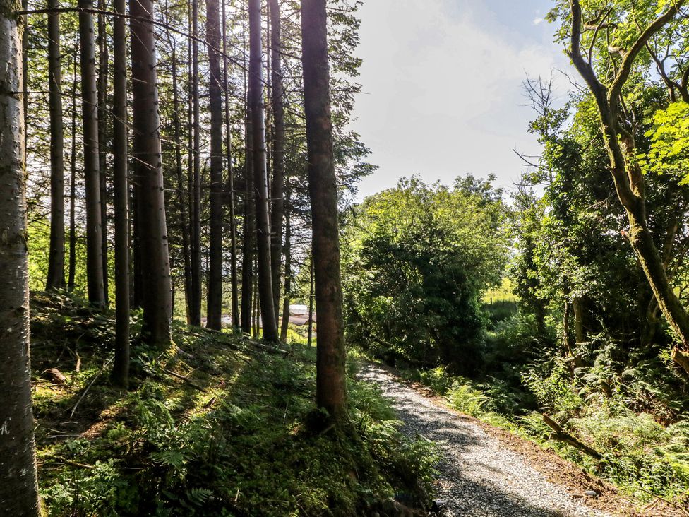 A path through trees at Gortin Glen Glamping Pod 5 Omagh