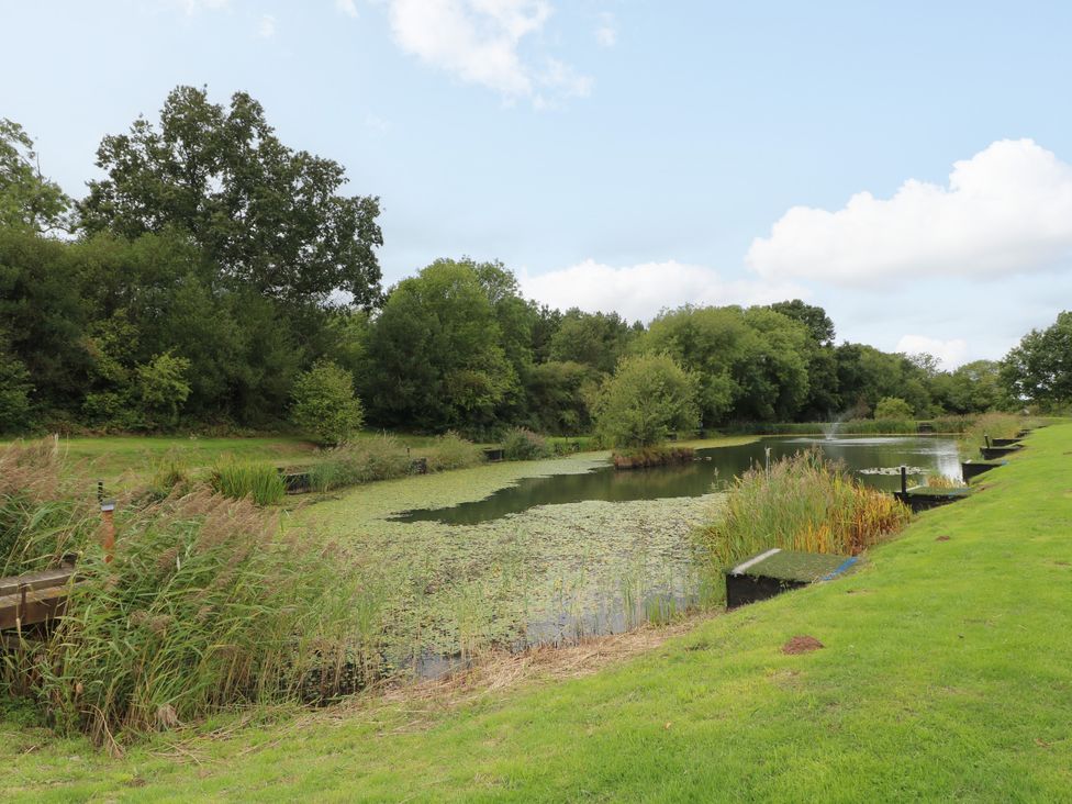 A pond surrounded by greenery at Starling Pod in Coalville