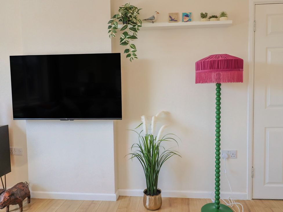 A living room with a television and a lamp at 2 Mill Green Court Lyme Regis