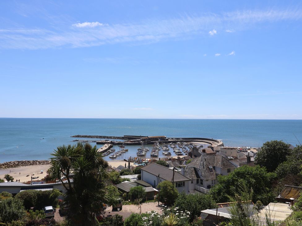 A view of a harbor with boats and buildings at 2 Mill Green Court in Lyme Regis