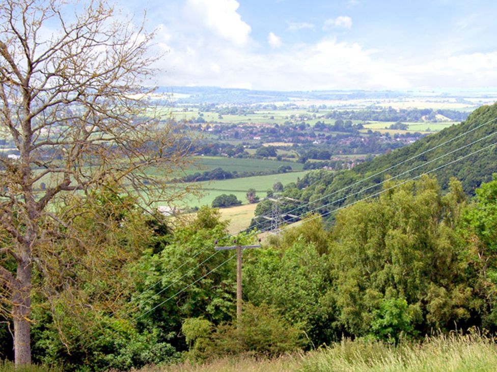 A view of trees and fields with power lines at Valley View in Ross-on-Wye