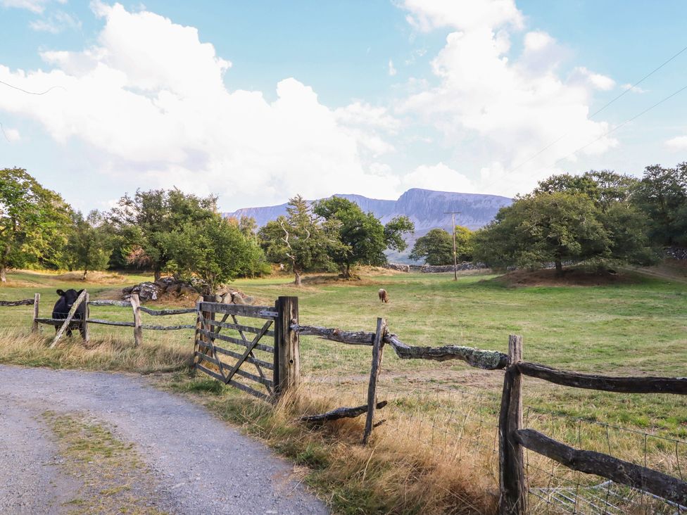 A field with a gate and trees at Pandy Farmhouse in 