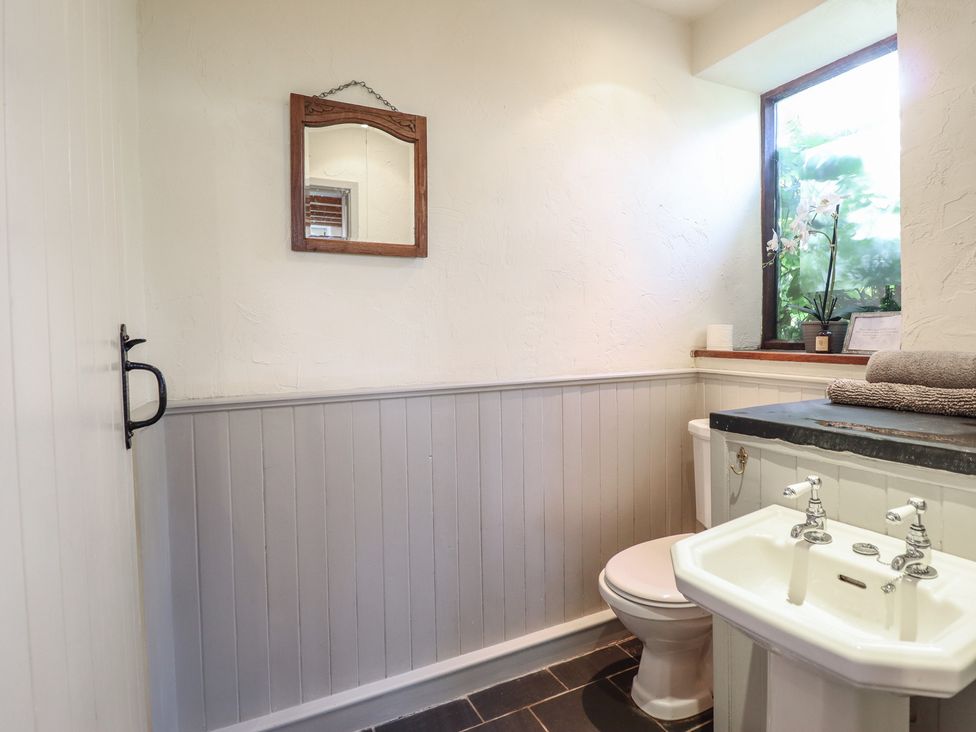 A bathroom with a sink and toilet at Pandy Farmhouse