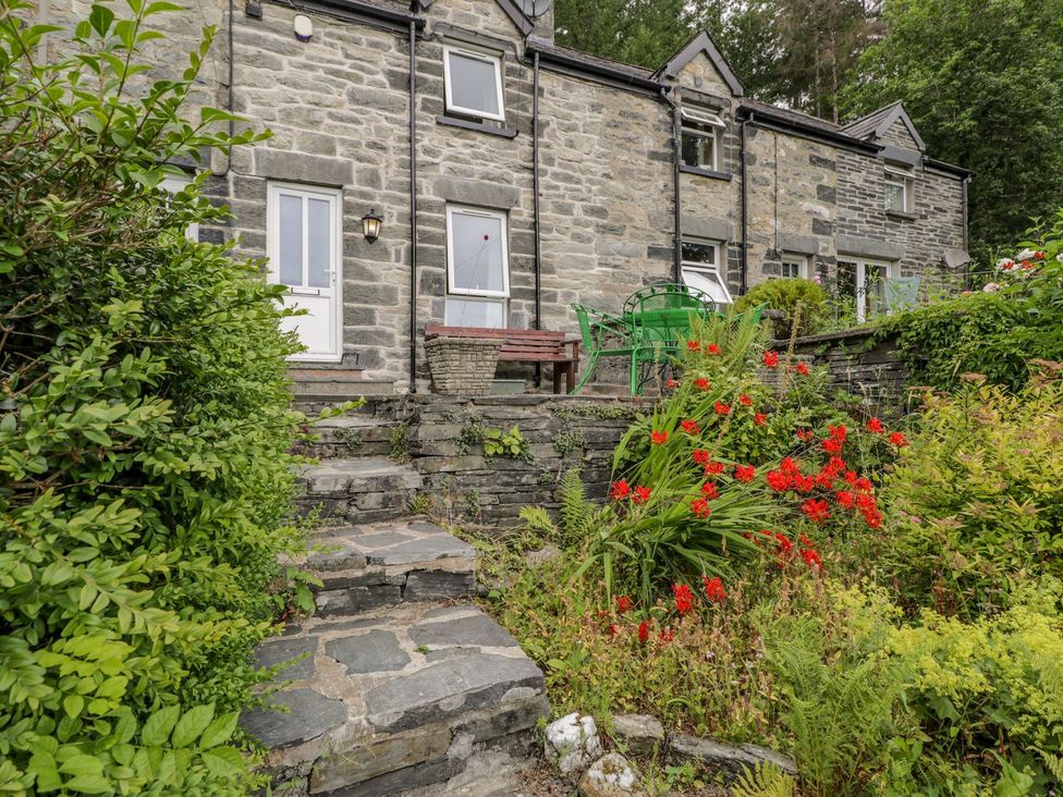 An outdoor area with stone steps and flowers at Awelfryn in Betws-y-Coed