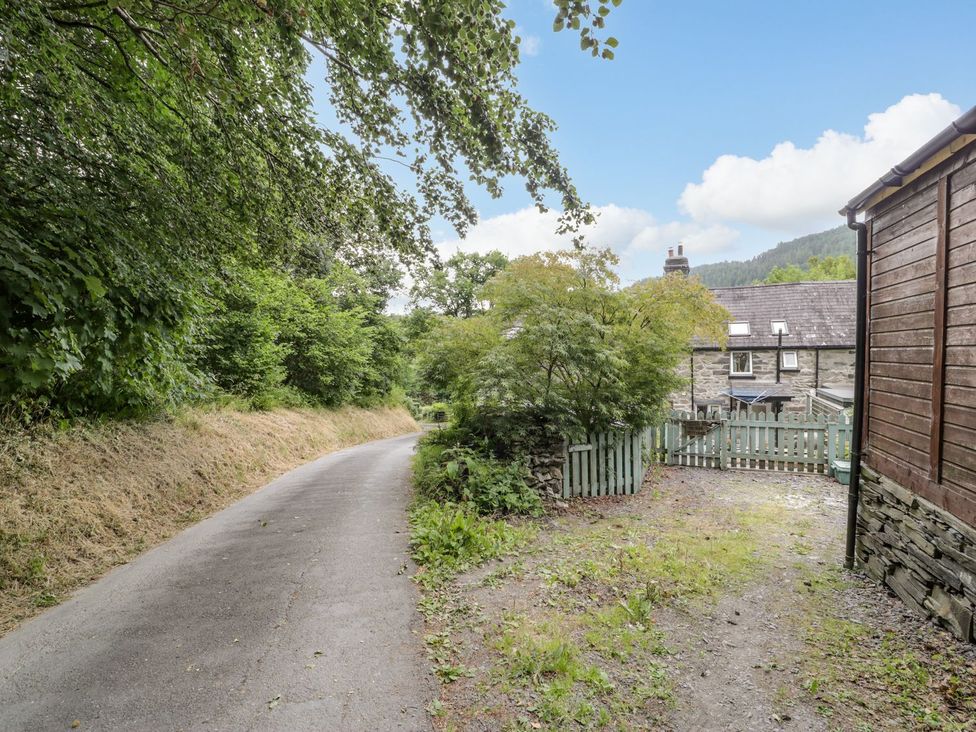 A driveway leading to a building surrounded by trees at Awelfryn in Betws-y-Coed